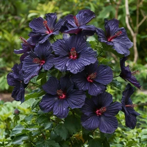 Гибискус Мэджик Момент купить по цене от 699р. в интернет-магазине «Посадика» с доставкой почтой в в Ставрополе и по всей России – [изображение №1].